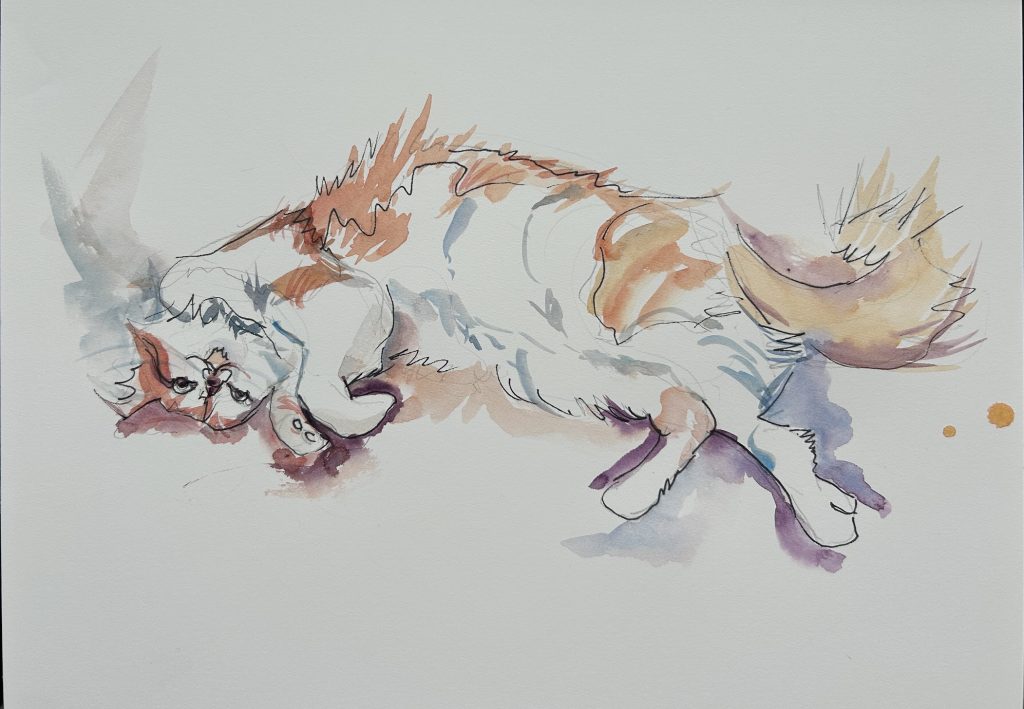 Playful cat looking up from the ground, with their head upside down.